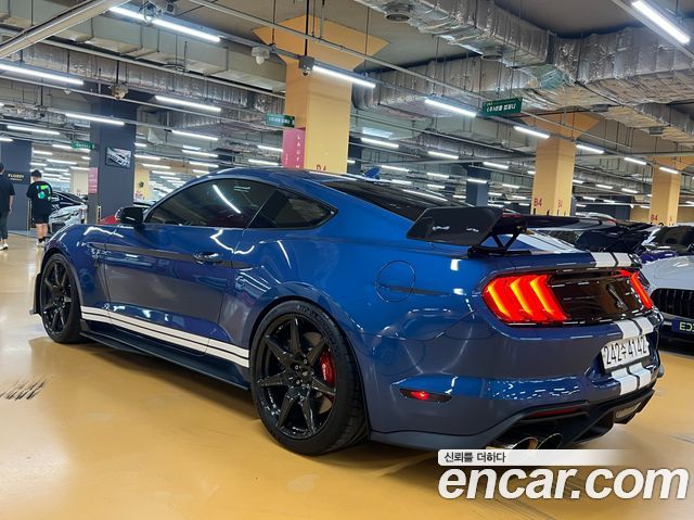 Ford Mustang Shelby GT500 Coupe — пробег 13 245 км — фото 5 из 5
