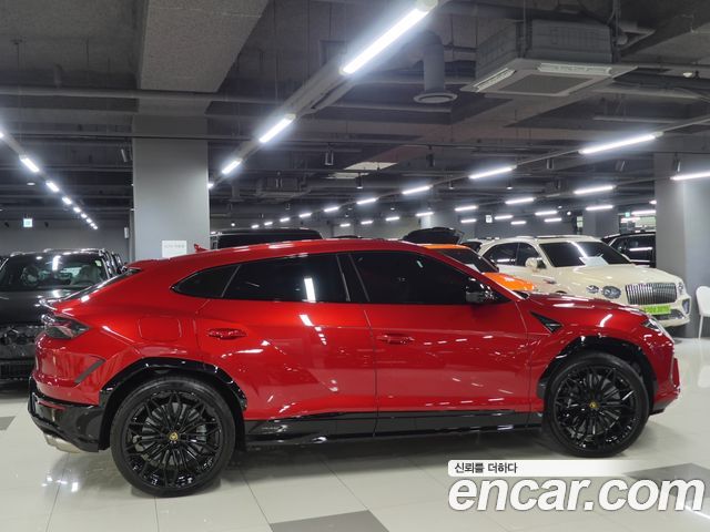 Lamborghini Urus из Кореи Encar