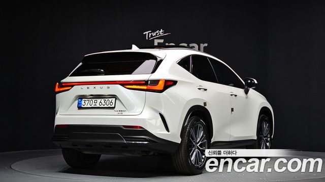 Lexus NX Luxury — пробег 25 493 км — фото 2 из 5