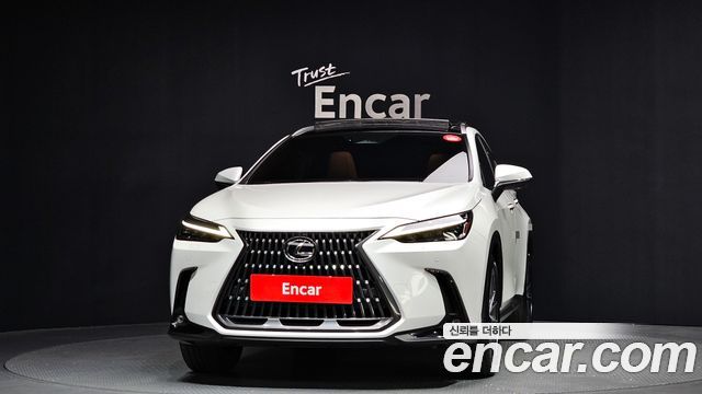 Lexus NX Luxury — пробег 25 493 км — фото 3 из 5