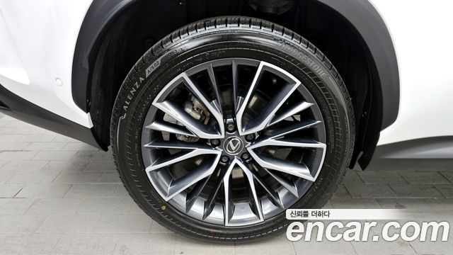 Lexus NX Luxury — пробег 25 493 км — фото 5 из 5