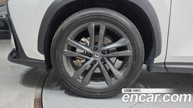 Lexus NX Premium — пробег 10 773 км — фото 5 из 5