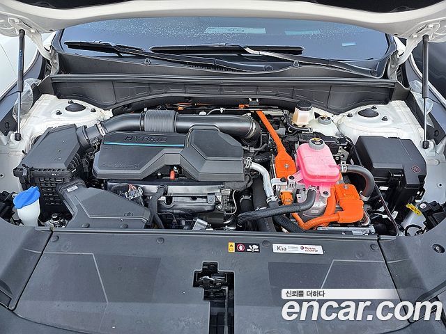 Kia Sorento HEV 1.6 2WD Gravity — пробег 22981 км