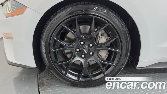 Ford Mustang из Кореи Encar