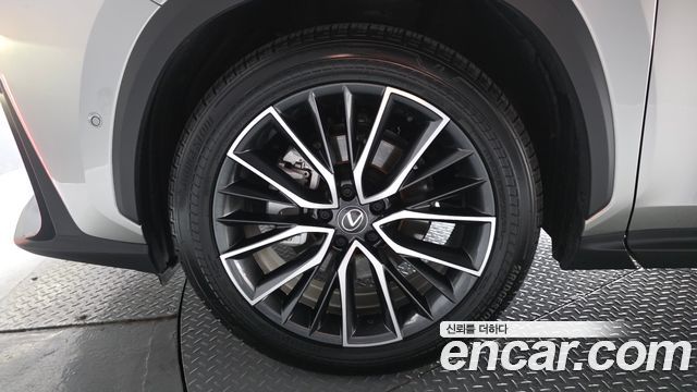 Lexus NX Luxury — пробег 11 816 км — фото 5 из 5