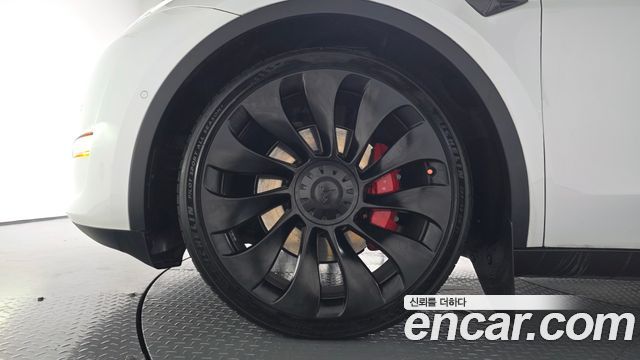 Tesla Model Y Performance AWD — пробег 43 880 км — фото 5 из 5