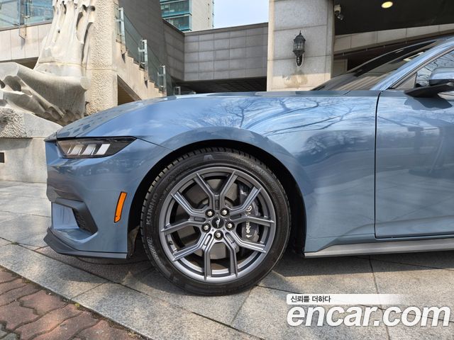 Ford Mustang 2.3 EcoBoost Premium Coupe — пробег 23 000 км — фото 5 из 5