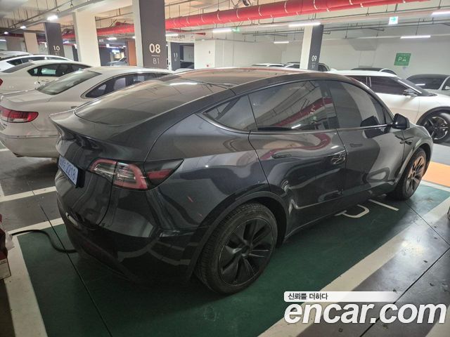 Tesla Model Y RWD — пробег 11 000 км — фото 2 из 5