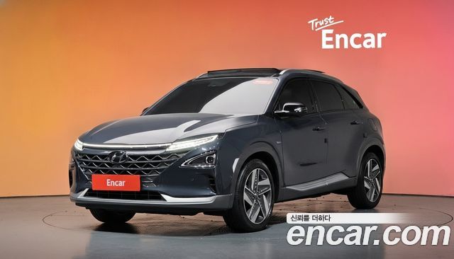 Hyundai Nexo Premium — пробег 37 000 км — фото 1 из 5