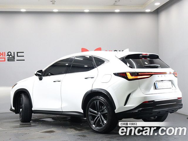 Lexus NX Premium — пробег 4 931 км — фото 4 из 5