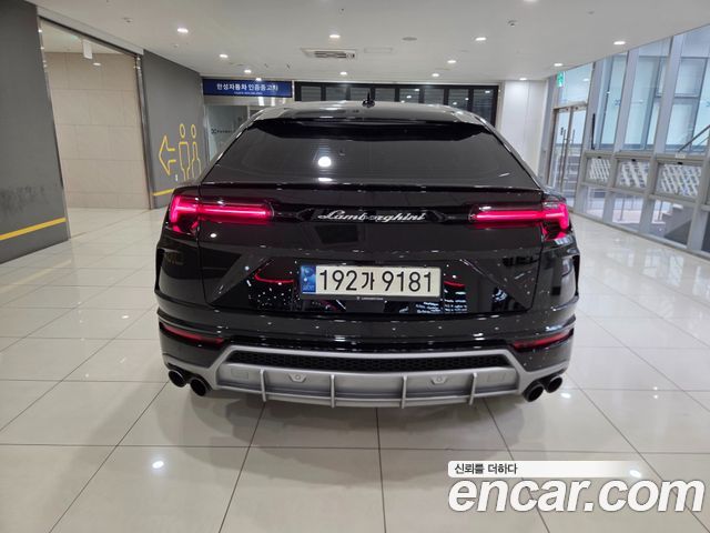 Lamborghini Urus из Кореи Encar