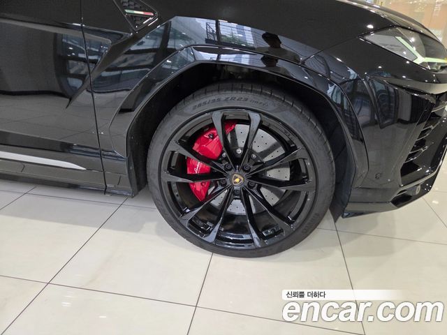 Lamborghini Urus из Кореи Encar