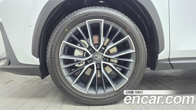 Lexus NX Luxury — пробег 9 км — фото 5 из 5