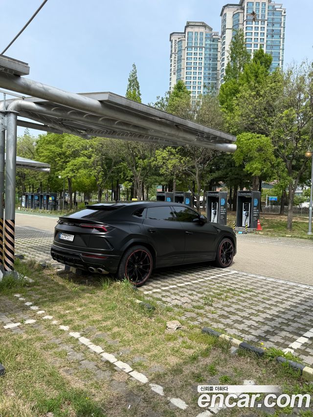 Lamborghini Urus из Кореи Encar
