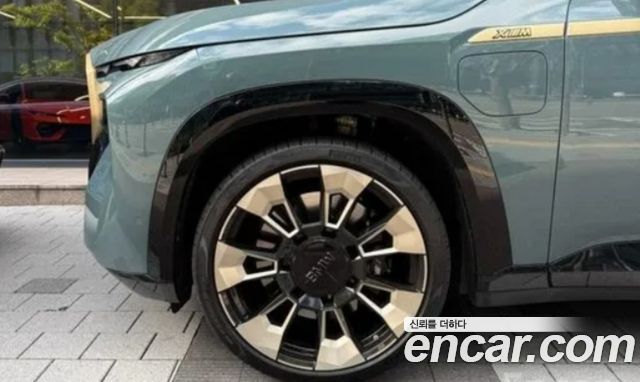 BMW XM 4.4 First Edition — пробег 54 000 км — фото 5 из 5