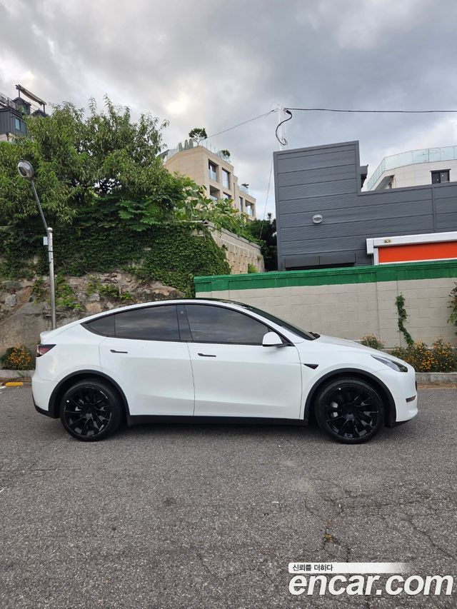 Tesla Model Y из Кореи Encar