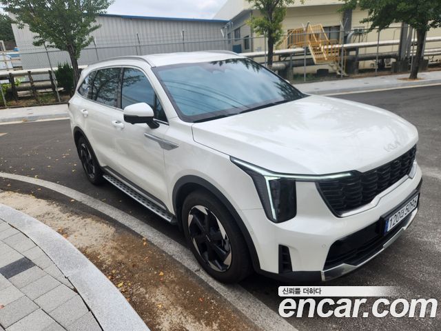 Kia Sorento HEV 1.6 2WD Signature 2025 — пробег 13 667 км