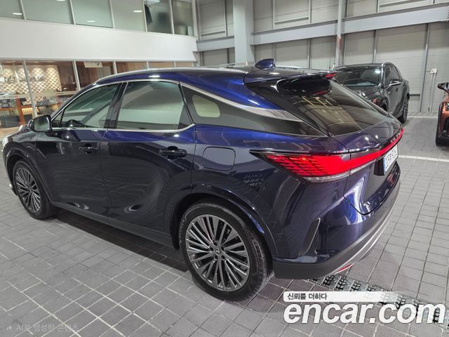 Lexus RX Luxury — пробег 8 100 км — фото 5 из 5
