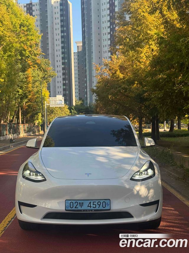 Tesla Model Y RWD — пробег 49 000 км — фото 1 из 5