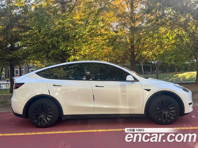 Tesla Model Y RWD — пробег 49 000 км — фото 5 из 5