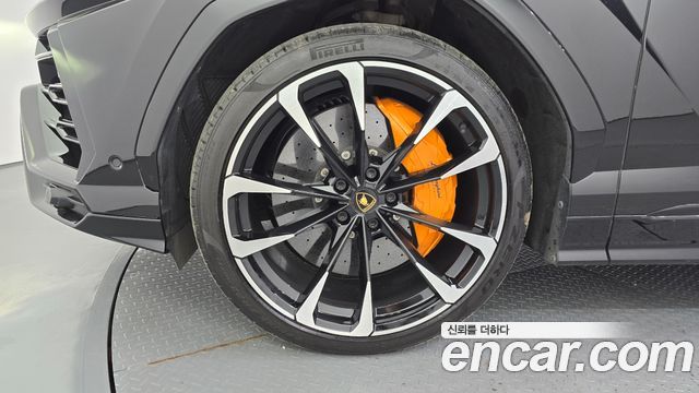Lamborghini Urus из Кореи Encar
