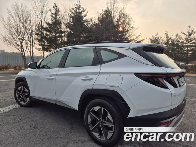 Hyundai Tucson HEV 1.6 2WD Inspiration — пробег 19 415 км — фото 5 из 5