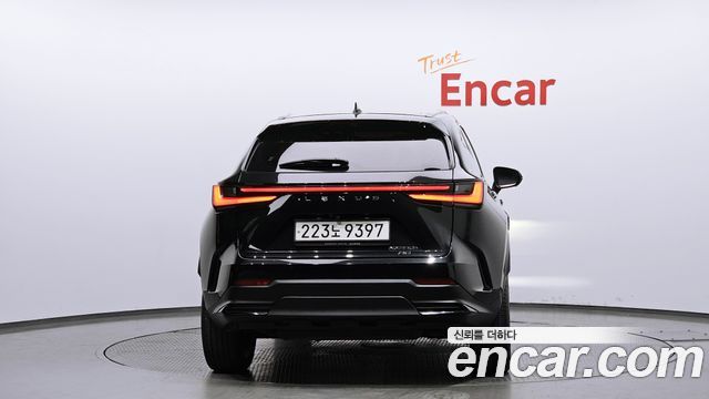 Lexus NX Premium — пробег 30 622 км — фото 4 из 5