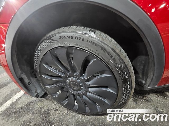 Tesla Model Y из Кореи Encar