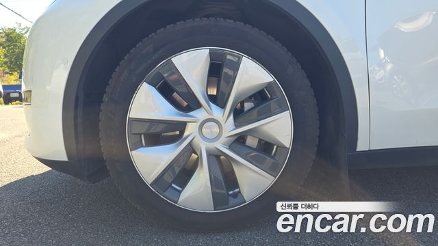 Tesla Model Y из Кореи Encar