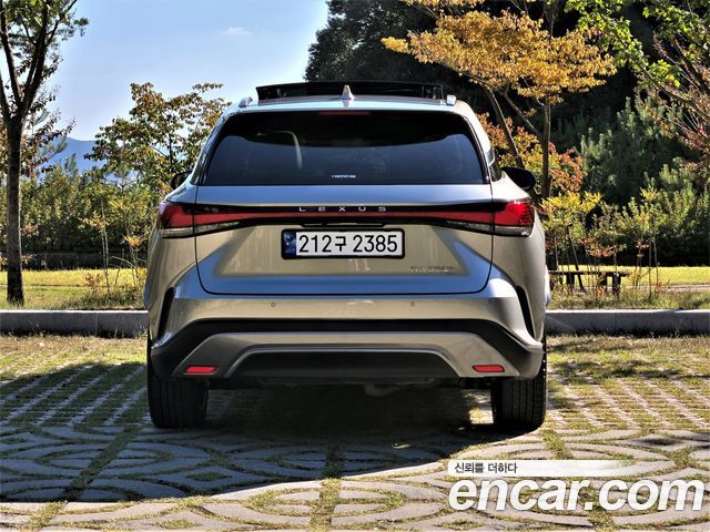 Lexus RX Luxury — пробег 21 300 км — фото 4 из 5
