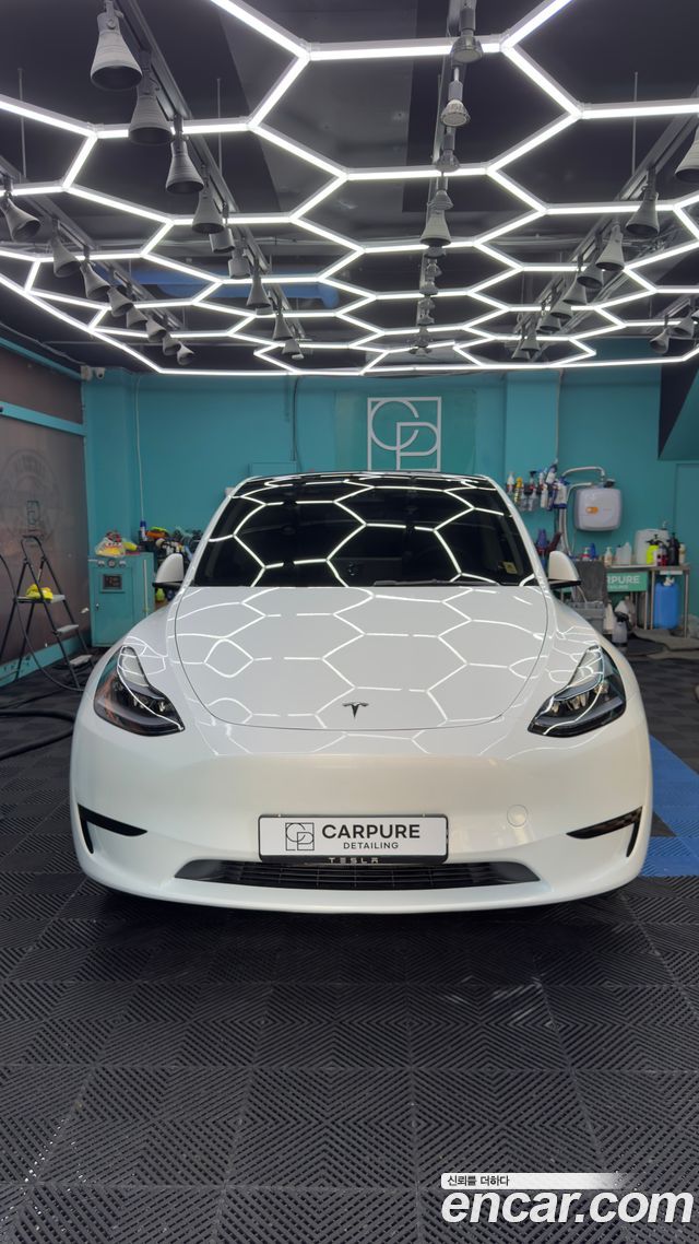 Tesla Model Y из Кореи Encar