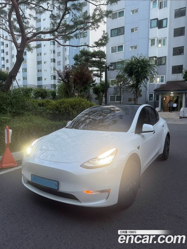 Tesla Model Y Long Range AWD — пробег 76 218 км — фото 1 из 5