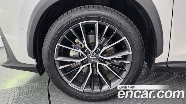 Lexus NX Luxury — пробег 12828 км