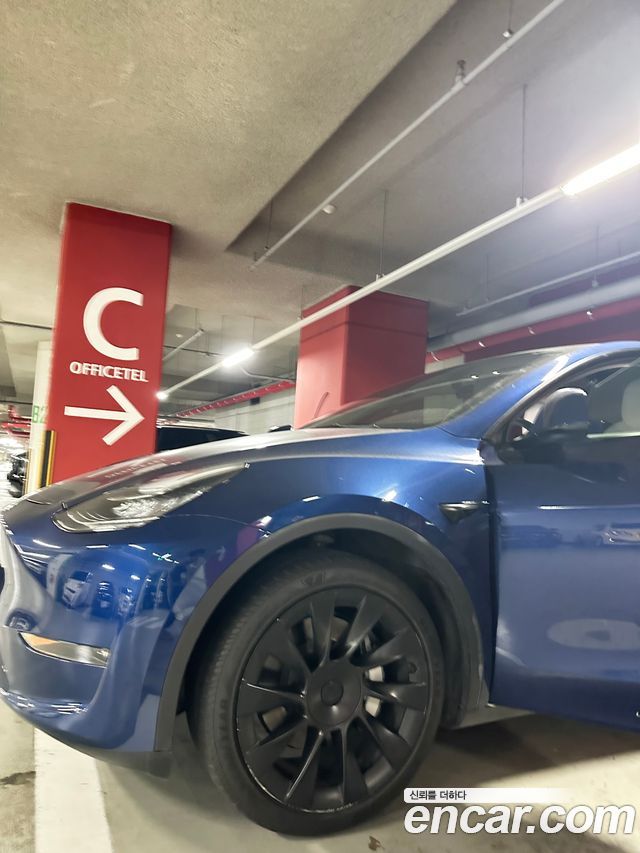 Tesla Model Y из Кореи Encar
