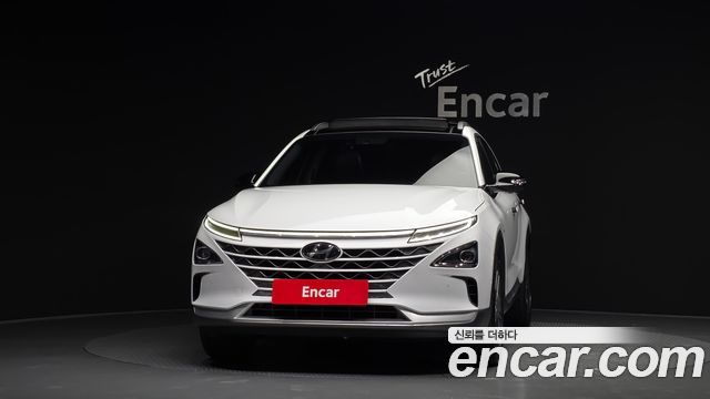 Hyundai Nexo Premium — пробег 140 199 км — фото 3 из 5