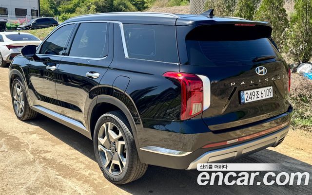 Hyundai Palisade Diesel 2.2 4WD Le Blanc — пробег 99000 км