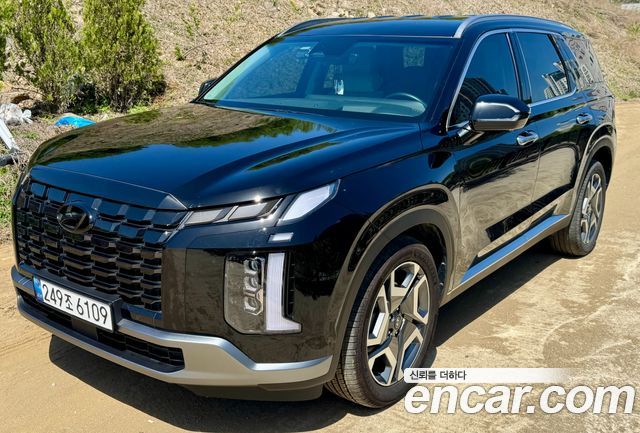 Hyundai Palisade Diesel 2.2 4WD Le Blanc — пробег 99000 км