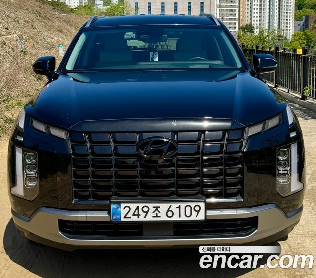 Hyundai Palisade Diesel 2.2 4WD Le Blanc — пробег 99000 км