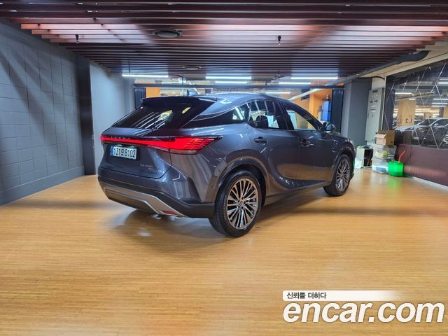 Lexus RX Luxury — пробег 4 346 км — фото 2 из 5
