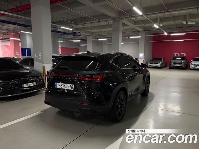 Lexus NX из Кореи Encar