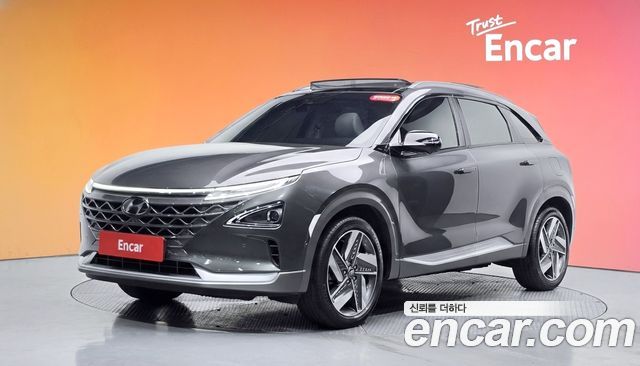 Hyundai Nexo Premium — пробег 38 501 км — фото 1 из 5