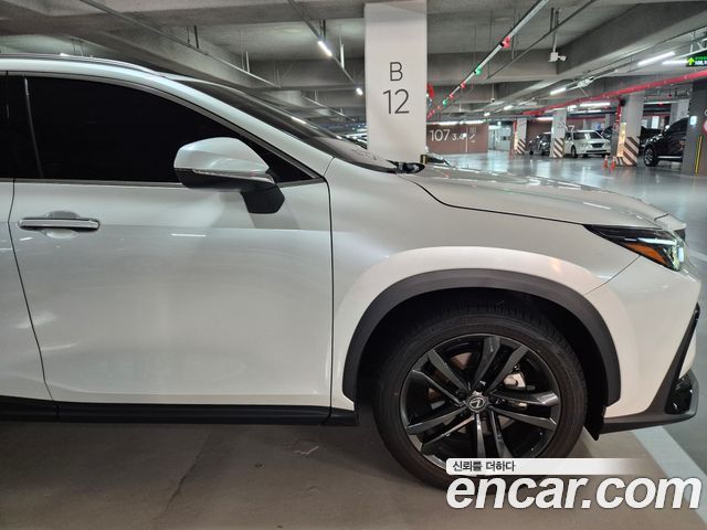Lexus NX Premium — пробег 12200 км