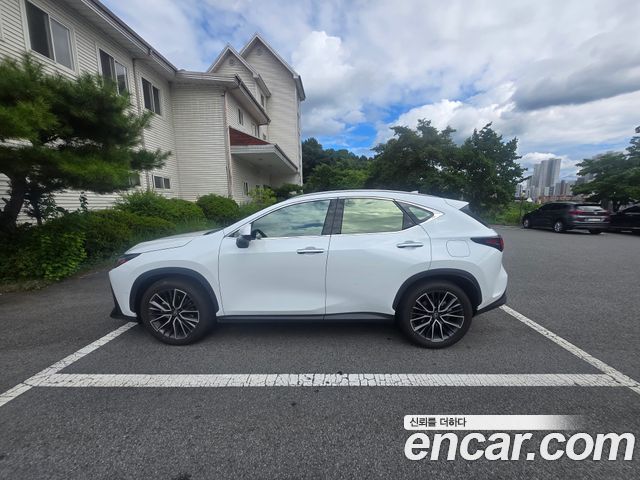 Lexus NX Luxury — пробег 5000 км