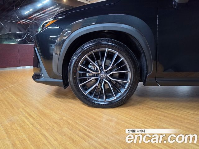 Lexus NX Luxury — пробег 4 748 км — фото 5 из 5