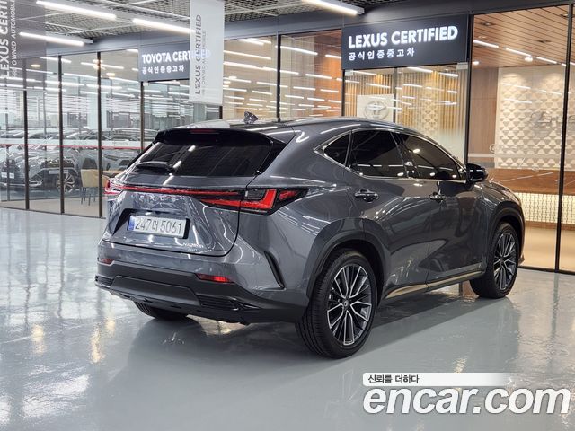 Lexus NX Luxury — пробег 6 026 км — фото 2 из 5
