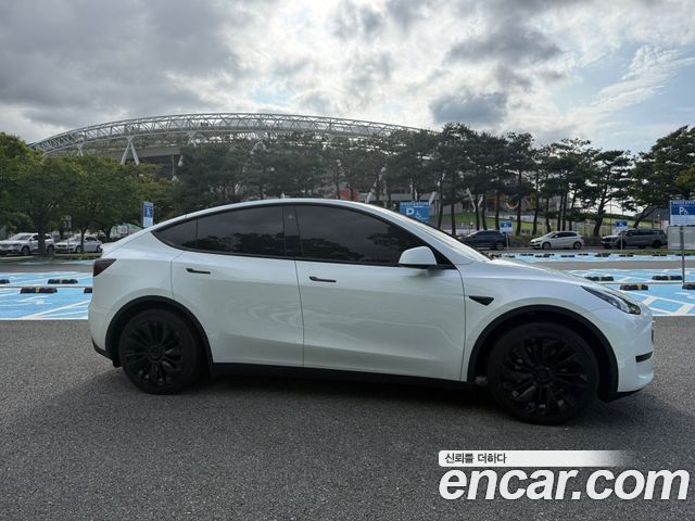 Tesla Model Y RWD — пробег 42 900 км