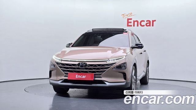 Hyundai Nexo Premium — пробег 114 463 км