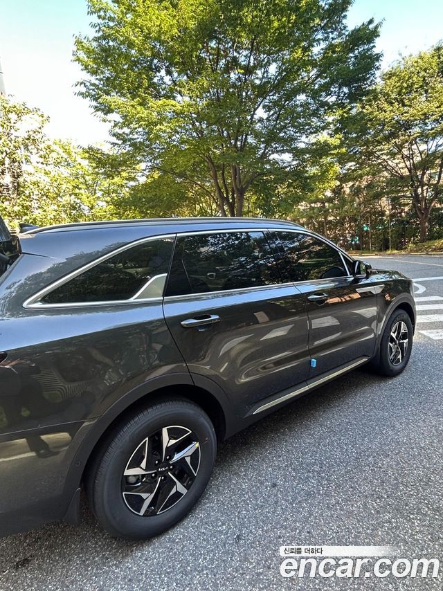 Kia Sorento HEV 1.6 2WD Prestige — пробег 900 км