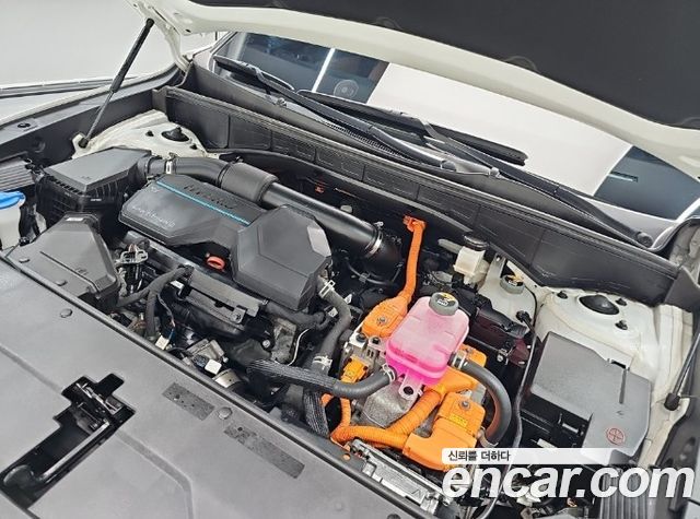 Kia Sorento HEV 1.6 2WD Signature — пробег 59 631 км