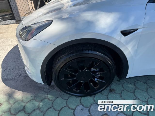 Tesla Model Y из Кореи Encar